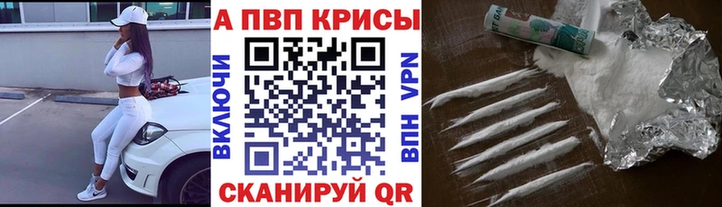A PVP мука  мориарти телеграм  Туран 