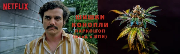 гидропоника Балабаново