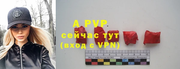 гидра Баксан
