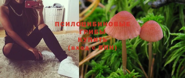 гидра Баксан